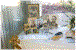 guestbook.gif (2948 bytes)