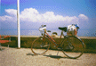bike.GIF (7480 bytes)