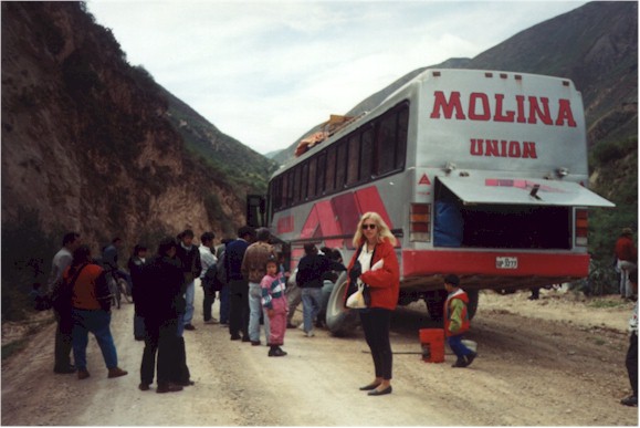 flat.jpg (58806 bytes)